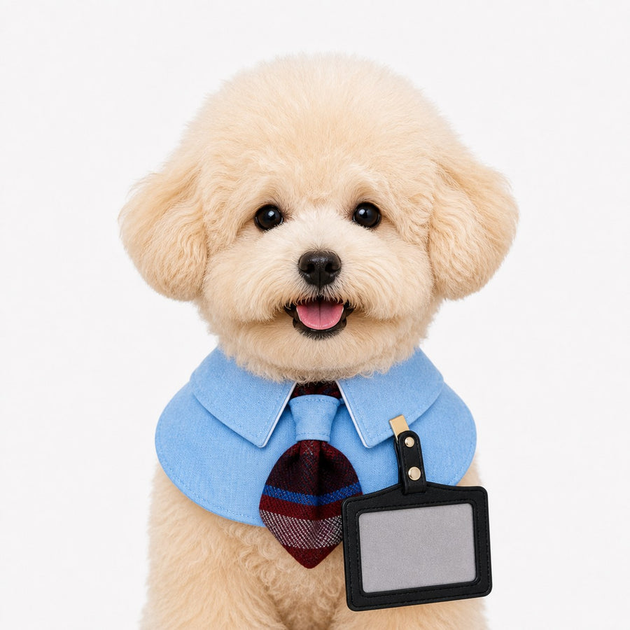 LuluPengu adjusted primary certificate photo: academy-blue-shirt-pet-bib