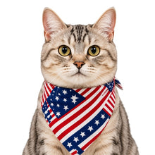 LuluPengu adjusted primary certificate photo: american-flag-pet-bandana