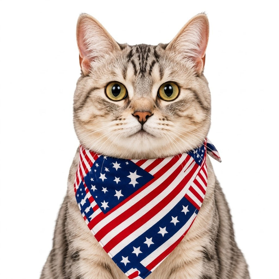 LuluPengu adjusted primary certificate photo: american-flag-pet-bandana