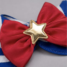 LuluPengu gallery detail: bowknot-pet-bib: 细节图.png