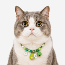 LuluPengu adjusted primary certificate photo: colorful-pet-collar