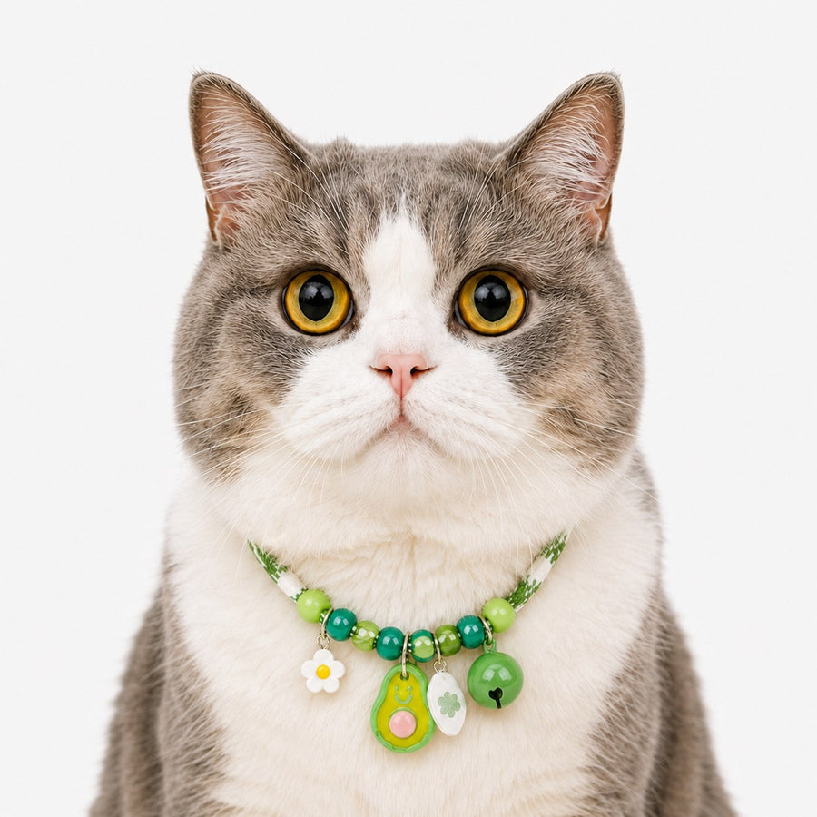 LuluPengu adjusted primary certificate photo: colorful-pet-collar