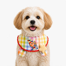 LuluPengu adjusted primary certificate photo: colorful-plaid-star-pet-bib