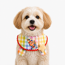 LuluPengu adjusted primary certificate photo: colorful-plaid-star-pet-bib