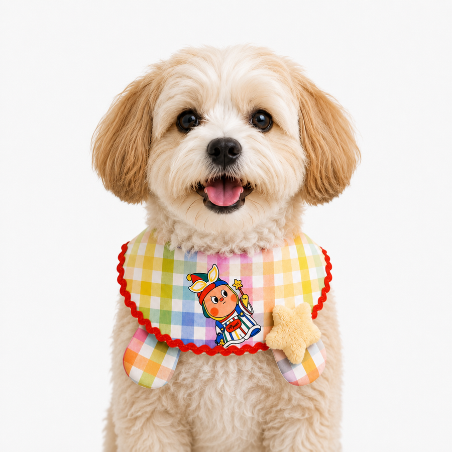 LuluPengu adjusted primary certificate photo: colorful-plaid-star-pet-bib