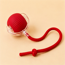 red electric kitten toy for indoor cats