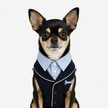navy stripe pet suit for dogs and cats