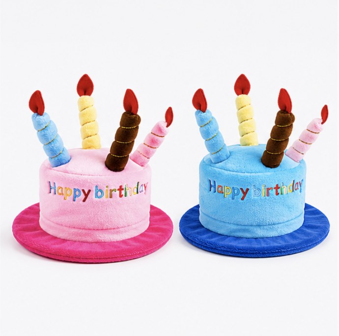 Pet Birthday Hat Stripes variant photo