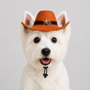Pet Cowboy Hat