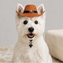 Pet Cowboy Hat view 3