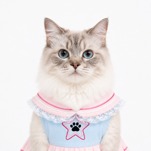 LuluPengu clothing certificate photo: pet-sailor-outfit: 证件照.png