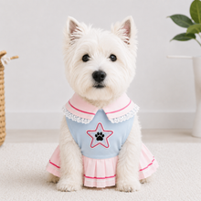 LuluPengu clothing gallery scene: pet-sailor-outfit: 5场景图.png