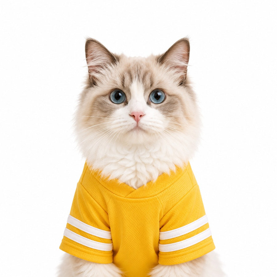 pet sport outfit for dogs and cats