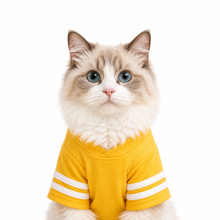LuluPengu clothing certificate photo: pet-sport-outfit: 证件照.png