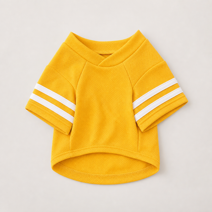 LuluPengu clothing gallery product GPT replacement: pet-sport-outfit: 1产品主图.png