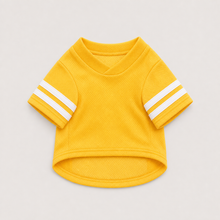 LuluPengu clothing gallery product GPT replacement: pet-sport-outfit: 2产品主图.png