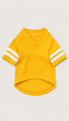 LuluPengu clothing gallery product GPT replacement: pet-sport-outfit: 3产品主图.png