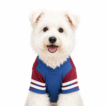 LuluPengu clothing gallery product: pet-sport-outfit: 证件照2.png