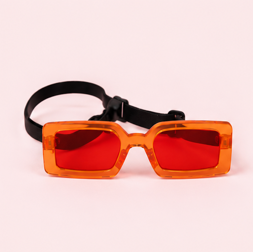 dog or cat wearing cute pet sunglasses
