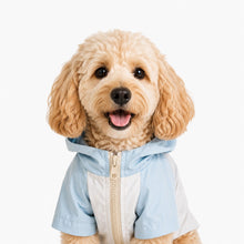 pet windbreaker jacket for dogs and cats