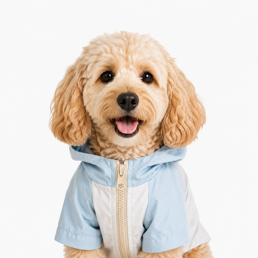 pet windbreaker jacket for dogs and cats