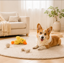 yellow squeaky duck plush pet toy - view 2