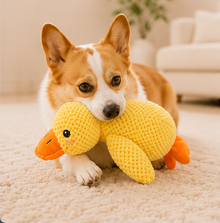 yellow squeaky duck plush pet toy - view 3