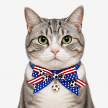 LuluPengu adjusted primary certificate photo: summer-football-adjustable-pet-collar