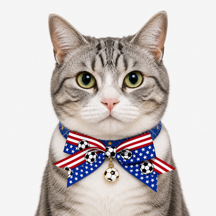 LuluPengu adjusted primary certificate photo: summer-football-adjustable-pet-collar