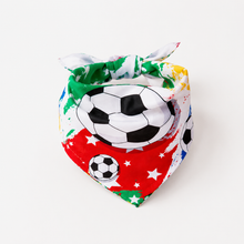 dog and cat wearing a summer football pet bandana - view 2