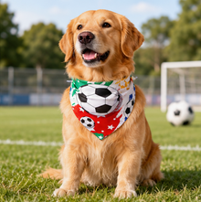 dog and cat wearing a summer football pet bandana - view 3