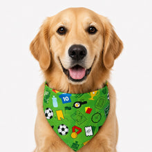 LuluPengu adjusted primary certificate photo: summer-football-pet-bandana