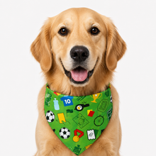 LuluPengu adjusted primary certificate photo: summer-football-pet-bandana