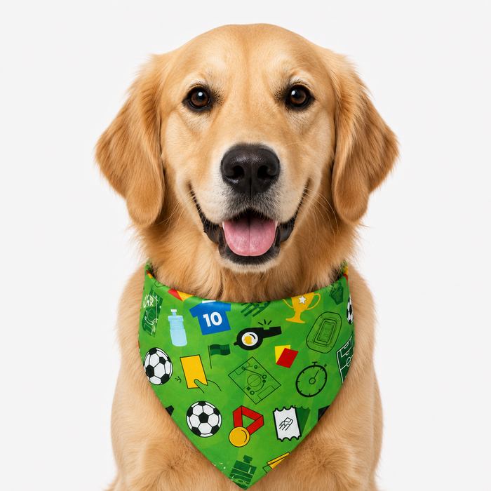 LuluPengu adjusted primary certificate photo: summer-football-pet-bandana