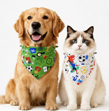 LuluPengu gallery scene: summer-football-pet-bandana: 2场景图1.png
