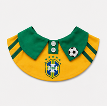 dog or cat wearing a summer football pet bib