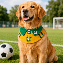 dog or cat wearing a summer football pet bib - view 2