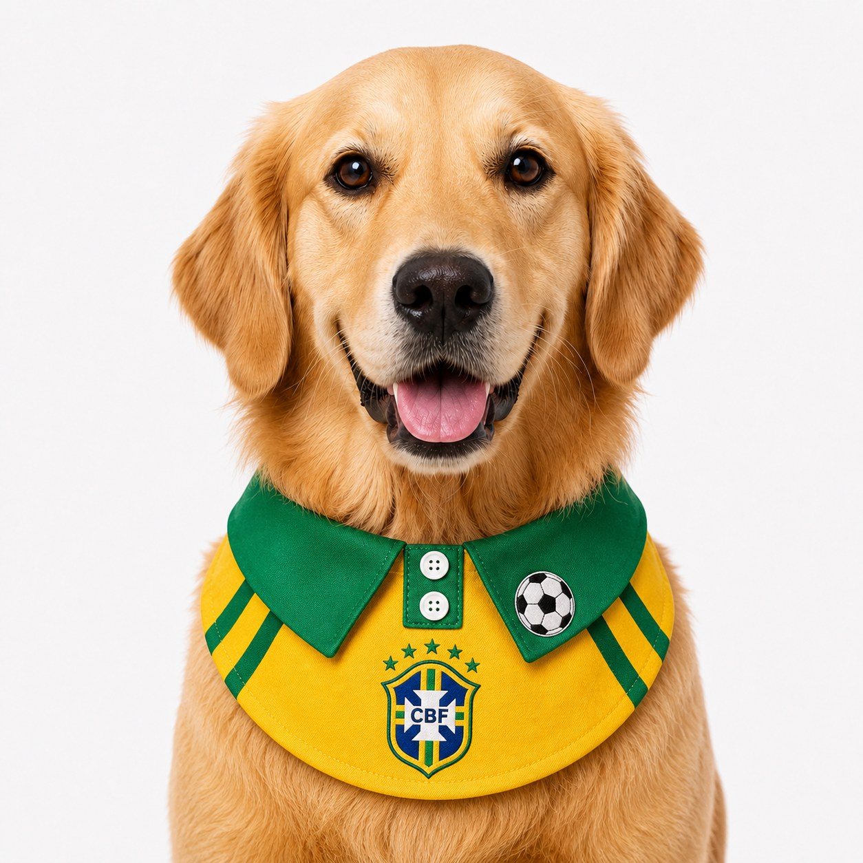 LuluPengu adjusted primary certificate photo: summer-football-pet-bib