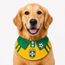 LuluPengu adjusted primary certificate photo: summer-football-pet-bib