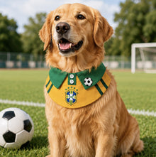 LuluPengu gallery scene: summer-football-pet-bib: 2场景图.png
