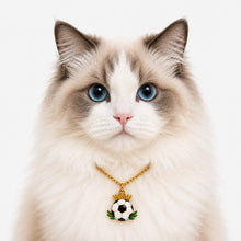 LuluPengu adjusted primary certificate photo: summer-football-pet-charm-necklace