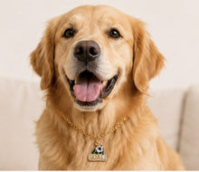 LuluPengu gallery scene: summer-football-pet-charm-necklace: 狗狗场景.png