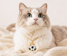 LuluPengu gallery scene: summer-football-pet-charm-necklace: 猫猫场景.png