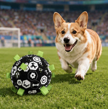 LuluPengu gallery scene: summer-football-pet-toy: 2场景图1.png