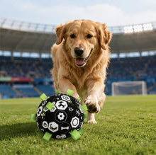 LuluPengu gallery scene: summer-football-pet-toy: 3场景图2.png