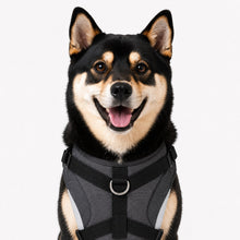utility pet vest in mist gray