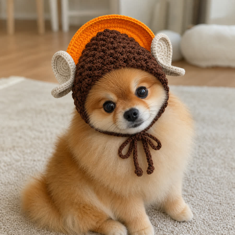 Pomeranian wearing the Rulai Buddha Pet Hat on a rug