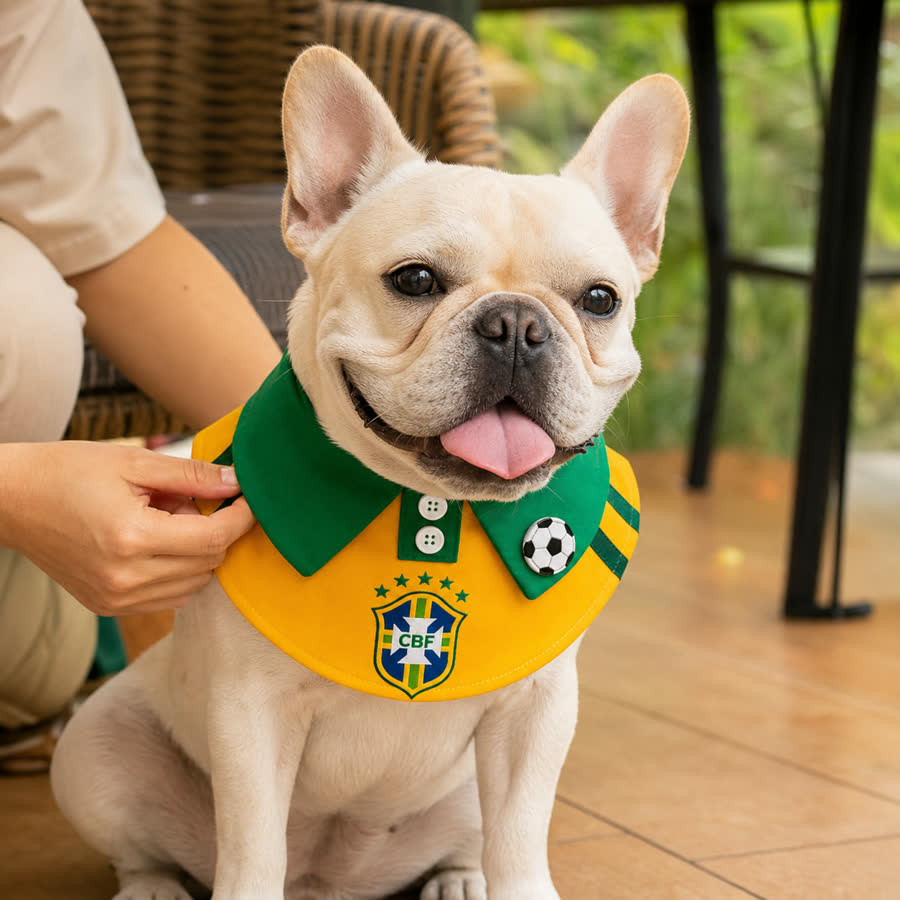 French bulldog wearing the Summer Football Pet Bib on a patio