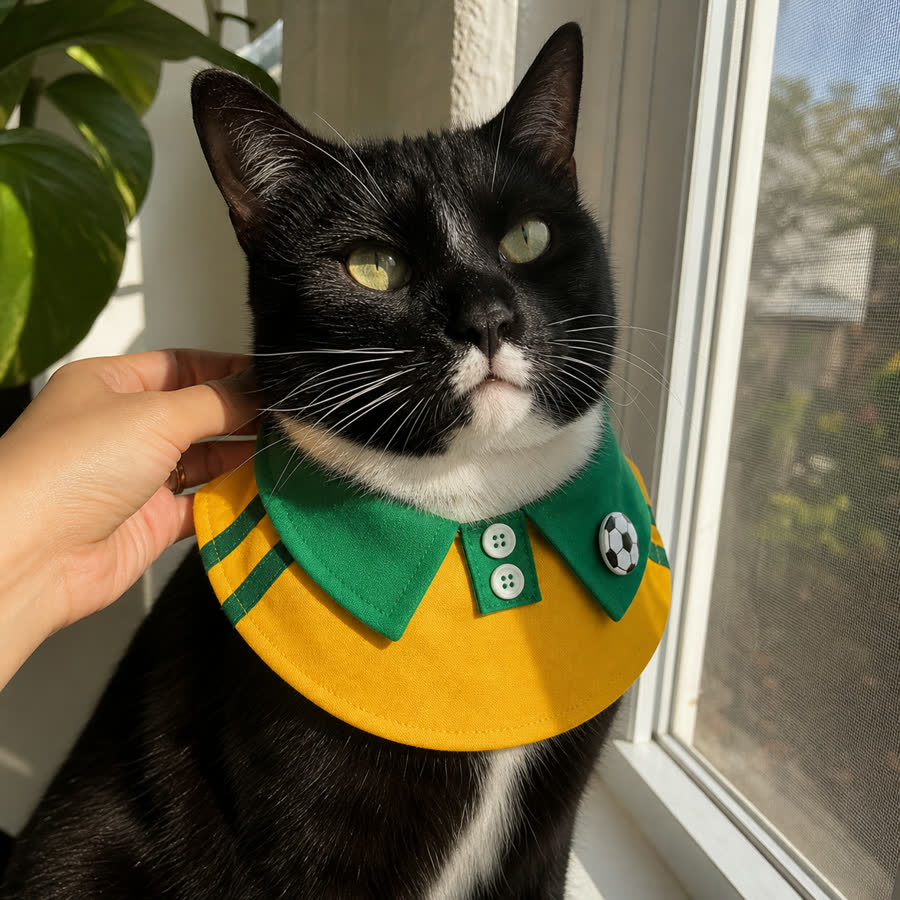 Tuxedo cat wearing the Summer Football Pet Bib by a window