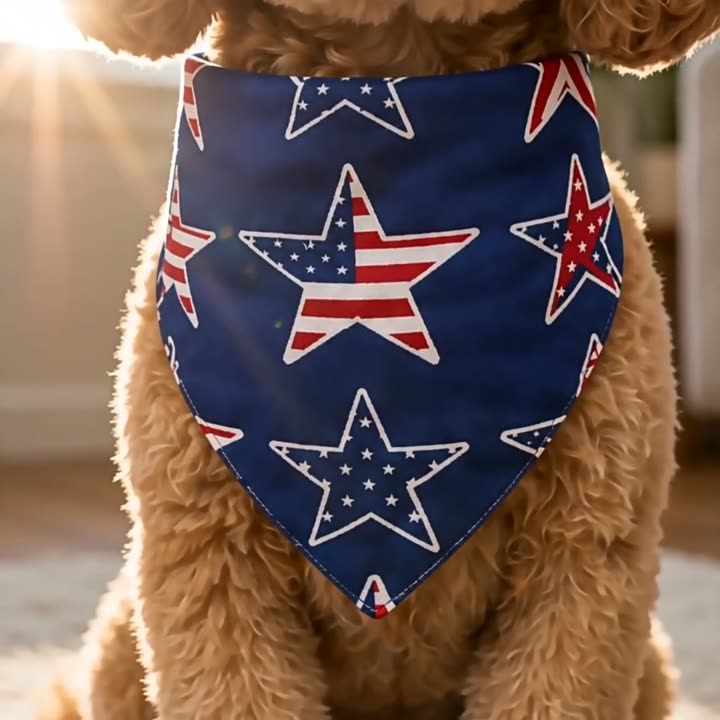 American Flag Pet Bandana video cover